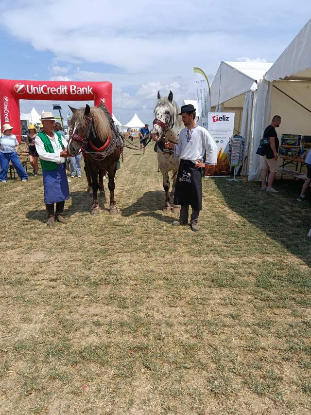 IMG_20260609_134330